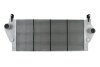 Интеркулер RN AVANTIME(01-)1.9 DTi(+)[OE 82 00 008 761] NISSENS 96799 (фото 2)