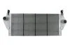 Интеркулер RN AVANTIME(01-)1.9 DTi(+)[OE 82 00 008 761] NISSENS 96799 (фото 2)