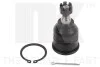 Шарова опора передня нижня Honda Accord IV / V / VI / Rover 600 1.6i-3.0 V6 24V 92-04 NK 5042603 (фото 1)