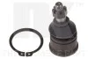 Шаровая опора перед. нижняя L / P Honda Civic V 1.5i / 1.6i 97- 5042604