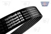 Ремень приводной поликлиновый OPTIBELT 6EPK831 (фото 1)