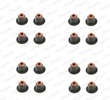 Сальник клапана (компл.) BMW N42/N46 (16PCS) (вир-во) Payen HR5086