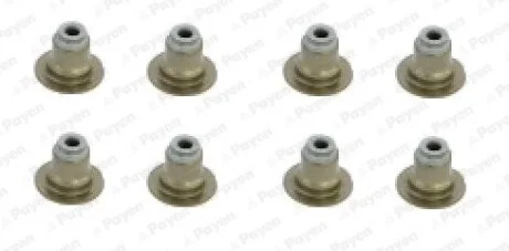 Сальник клапана комплект IN/EX FORD F6JA/F6JB/F6J(вир-во) Payen HR5120
