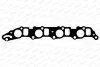 Прокладка впускний колектор FIAT/OPEL 1.9CDTI Z19DTH/Z19DTJ (вир-во Payen) JD5376