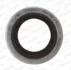 Прокладка зливної горловини двигуна PSA/RENAULT/VOLVO 16.7X24X1.5 (вир-во Payen) KG5012