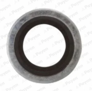Прокладка зливної горловини двигуна PSA/RENAULT/VOLVO 16.7X24X1.5 (вир-во) Payen KG5012