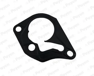 Прокладання вакуумного насосу Renault Trafic 1.5/1.9DCI 01- Payen KK5643