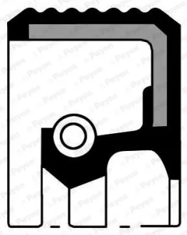Сальник двигуна N PSA/FORD DV4TD/F6JA/DV6ATED4 27X47X7 TFE (вир-во) Payen NA5258