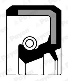 Сальник АКПП MB 43X58X7 (вир-во) Payen NA5320