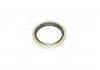 Уплотнительное кольцо Payen NJ539 (фото 1)