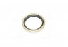 Уплотнительное кольцо Payen NJ539 (фото 3)
