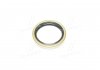 Уплотнительное кольцо Payen NJ539 (фото 4)