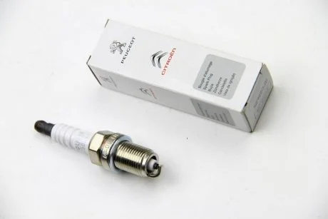 Свіча запалювання Peugeot/Citroen 5960.J3