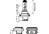 Автомобильная лампа: 12 [В] H11 LongLife Eco Vision 55W цоколь PGJ19-2 PHILIPS 36194030 (фото 1)