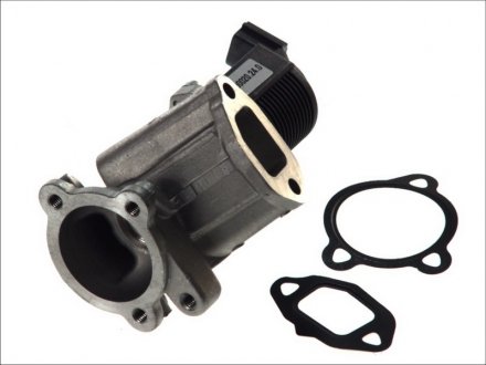 Клапан рециркуляції відпрацьованих газів Fiat - Opel 1.3 JTD PIERBURG 700020240 (фото 1)
