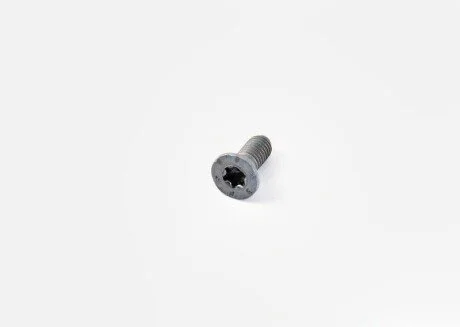 Гвинт гальмівного диску m6x16-tc m 14- PORSCHE N10648301