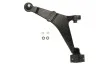 Рычаг подвески передний Reinhoch RH042026 (фото 1)