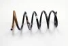 Пружина підвіски зад. duster 4х4 550202720R