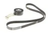 Комплект ремня генератора Kangoo/Logan/Sandero 1.4/1.6i 97- (5PK1110) RENAULT 7701477522 (фото 1)