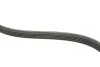 Комплект ремня генератора Kangoo/Logan/Sandero 1.4/1.6i 97- (5PK1110) RENAULT 7701477522 (фото 4)