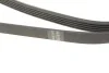 Комплект ремня генератора Kangoo/Logan/Sandero 1.4/1.6i 97- (5PK1110) RENAULT 7701477522 (фото 5)