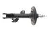 Амортизатор TOYOTA Camry * передняя правая сторона 06-11 (Gas) 317117