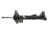Амортизатор MERCEDES A207 / C207 передняя сторона 10 - (Gas) 317555