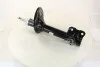 Амортизатор MITSUBISHI Outlander передняя сторона 03-08 (Gas) 317610