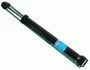 Амортизатор AUDI / SKODA / VW A6 / Superb / Passat задняя сторона 97-05 (Gas) 556277