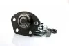 Кульова опора (конус 24) Citroen Jumper / Fiat Ducato / Peugeot Boxer 2.0Hdi / Jtd- 2.8Hdi / Jtd 04.02-07.06 (1.8t) SHAFER SM6668 (фото 1)