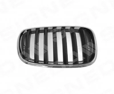 Решітка радіатора BMW X5 (E70) Signeda BM07053GAR