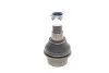 Кульова опора MERCEDES / VW Sprinter (901-904) / LT - 06 SKF VKDS318009 (фото 1)