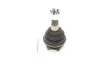Опора кульова NISSAN NAVARA, PICK UP 97- перед. міст низ (Вир-во SKF) VKDS 812008