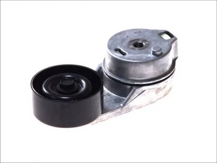 Натяжитель ремня VW LT 28-35 / LT 28-46 2,8L 01-06 SKF VKM31066