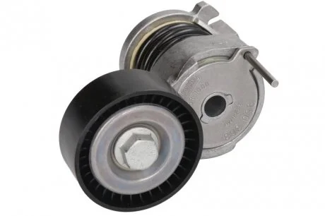 Натяжитель ремня SEAT / SKODA / VW Ibiza / Fabia / Roomster / Polo 1,2L 01 - SKF VKM31220