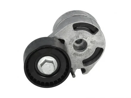 Натяжитель ремня CITROEN / FORD / MAZDA / PEUGEOT Berlingo / Fiesta / Fusion / 2/206 1,4 / 1,6L 01 - SKF VKM33061