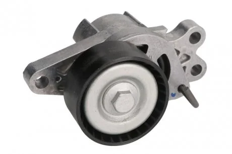 Натяжитель ремня CITROEN / FIAT / PEUGEOT Berlingo / Nemo / Qubo / 206 / Bipper / Partner 1,1 / 1,6L 96 - SKF VKM33300