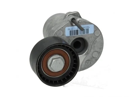 Натяжитель ремня BMW 5/7 / X3 / X5 / X6, 2,0 / 3,0L 07 - SKF VKM38335 (фото 1)