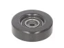 Ролик ременя генератора SKF VKM66006 (фото 1)