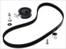 Ремкомплект ГРМ AUDI / SEAT / SKODA / VW A3 / A4 / TT / Ibiza / Toledo / Octavia / Bora / Golf / Sharan 1,8 95-10 SKF VKMA01136 (фото 1)