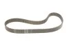 Ремкомплект ГРМ AUDI / FORD / SEAT / SKODA / VW A2,3,4,6 / Octavia / Superb / Bora / Golf / Passat 1,4-2,0TDI 95-10 SKF VKMA01142 (фото 2)