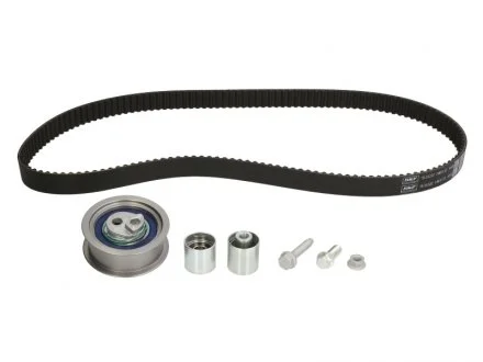Ремкомплект ГРМ AUDI / SKODA / VW 2,0TSI 05-10 SKF VKMA01222