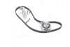 Ремкомплект ГРМ AUDI / SEAT / SKODA / VW A4 / A6 / Exeo / Superb / Passat 1,8-2,0 95-10 SKF VKMA01918 (фото 3)