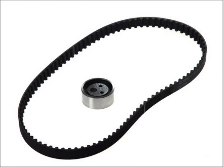 Фото 1 - ремкомплект ГРМ RENAULT 19 / Clio / Megane / Rapid 1,2-1,6 88-03 SKF VKMA06000 Ремкомплект ГРМ RENAULT 19 / Clio / Megane / Rapid 1,2-1,6 88-03 SKF VKMA06000 (фото 1)