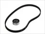 Ремкомплект ГРМ DACIA / RENAULT Logan / Sandero / Solenza / Clio / Kangoo / Megane / Thalia 1,4-1,6 96 - SKF VKMA06003