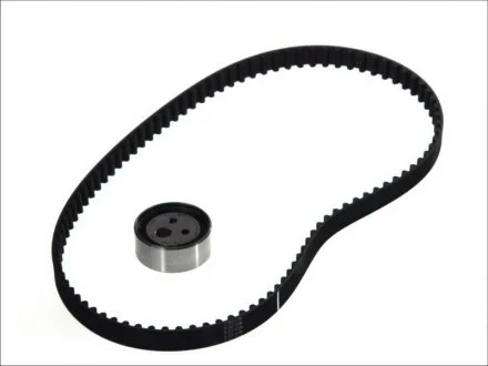 Ремкомплект ГРМ DACIA / RENAULT Logan / Sandero / Solenza / Clio / Kangoo / Megane / Thalia 1,4-1,6 96 - SKF VKMA06003