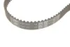 Ремкомплект ГРМ HONDA / NISSAN / OPEL / RENAULT Stream / Primastar / Movano / Laguna / Trafic 2,0-2,5 00 - SKF VKMA06503 (фото 4)