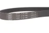 Комплект дорожечным поясов SKF VKMA31276 (фото 7)