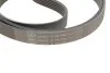 Ремкомплект ГРМ MITSUBISHI / NISSAN / OPEL / RENAULT / VOLVO Carisma / Primastar / Laguna / S40 1,8-2,0 00 - SKF VKMA36038 (фото 4)