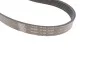 Комплект доріжкових пасків SKF VKMA36055 (фото 3)